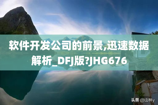 软件开发公司的前景,迅速数据解析_DFJ版?JHG676