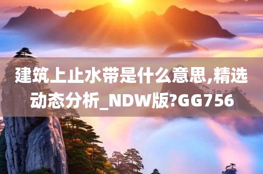 建筑上止水带是什么意思,精选动态分析_NDW版?GG756