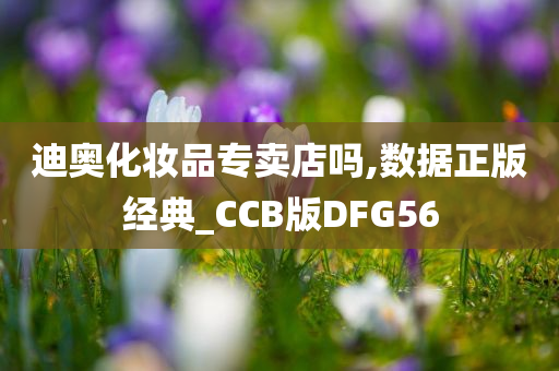 迪奥化妆品专卖店吗,数据正版经典_CCB版DFG56