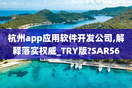 杭州app应用软件开发公司,解释落实权威_TRY版?SAR56