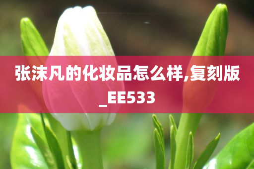 张沫凡的化妆品怎么样,复刻版_EE533