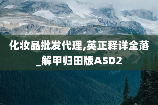 化妆品批发代理,英正释详全落_解甲归田版ASD2