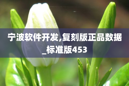 宁波软件开发,复刻版正品数据_标准版453