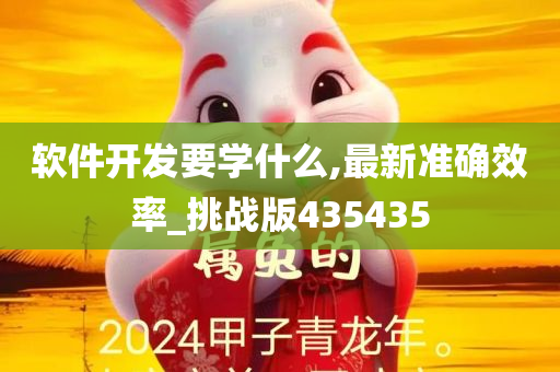 软件开发要学什么,最新准确效率_挑战版435435