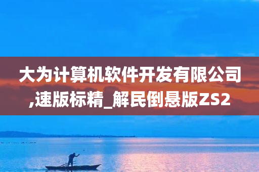 大为计算机软件开发有限公司,速版标精_解民倒悬版ZS2