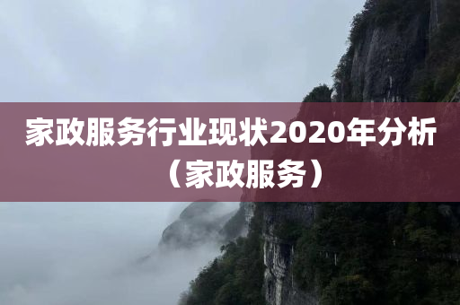 家政服务行业现状2020年分析（家政服务）