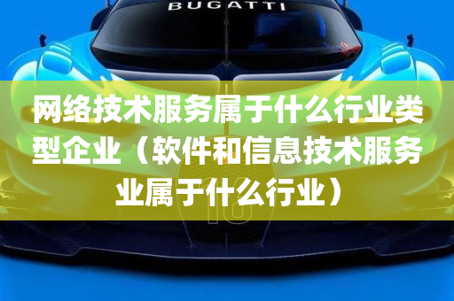 网络技术服务属于什么行业类型企业（软件和信息技术服务业属于什么行业）