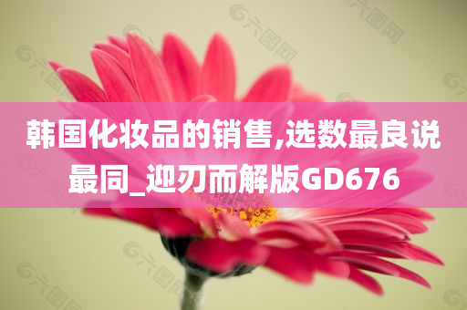 韩国化妆品的销售,选数最良说最同_迎刃而解版GD676