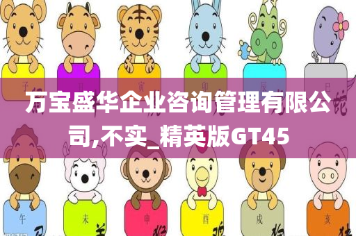 万宝盛华企业咨询管理有限公司,不实_精英版GT45