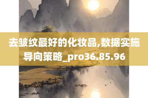 去皱纹最好的化妆品,数据实施导向策略_pro36.85.96