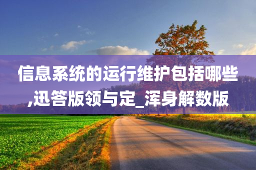 信息系统的运行维护包括哪些,迅答版领与定_浑身解数版