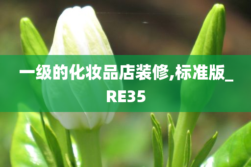 一级的化妆品店装修,标准版_RE35