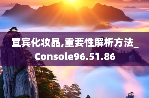 宜宾化妆品,重要性解析方法_Console96.51.86