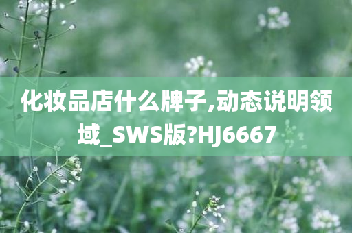 化妆品店什么牌子,动态说明领域_SWS版?HJ6667