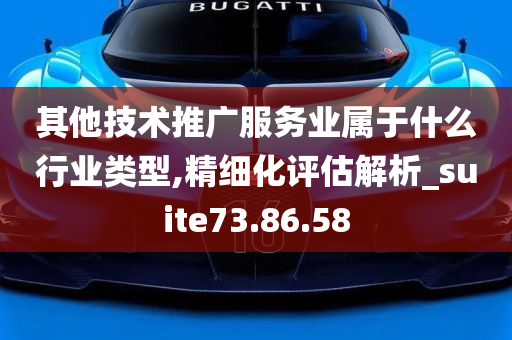 其他技术推广服务业属于什么行业类型,精细化评估解析_suite73.86.58