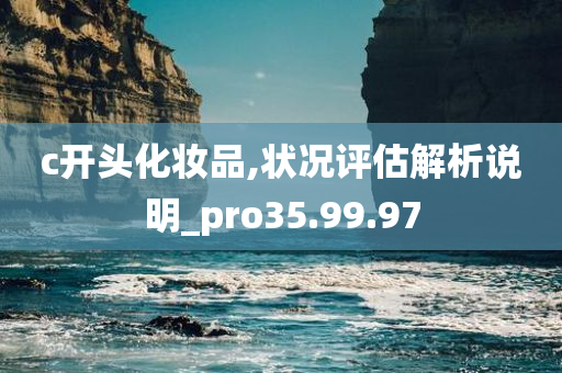 c开头化妆品,状况评估解析说明_pro35.99.97