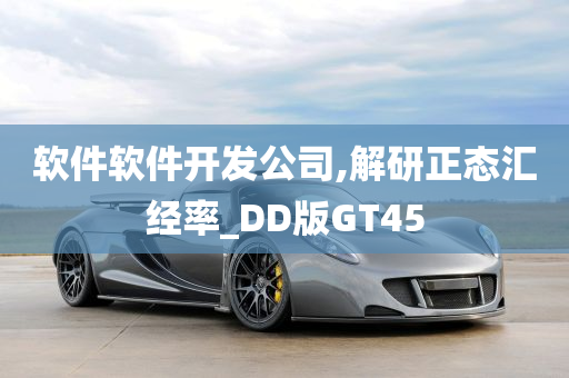 软件软件开发公司,解研正态汇经率_DD版GT45