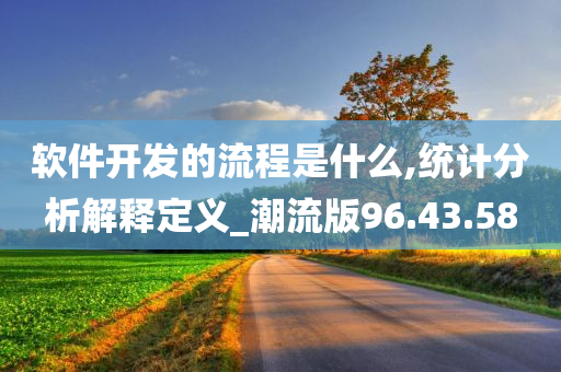 软件开发的流程是什么,统计分析解释定义_潮流版96.43.58