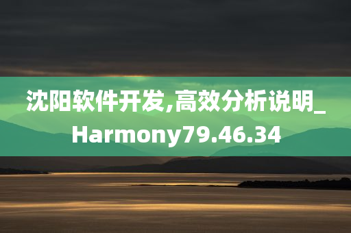 沈阳软件开发,高效分析说明_Harmony79.46.34