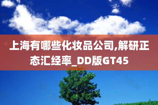 上海有哪些化妆品公司,解研正态汇经率_DD版GT45