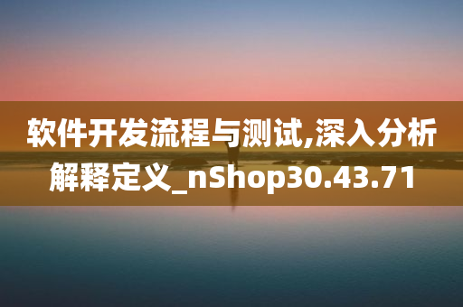 软件开发流程与测试,深入分析解释定义_nShop30.43.71