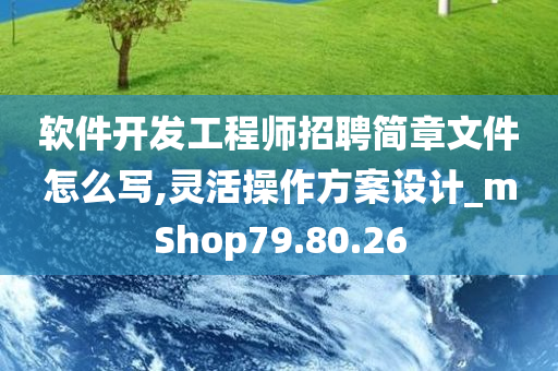 软件开发工程师招聘简章文件怎么写,灵活操作方案设计_mShop79.80.26