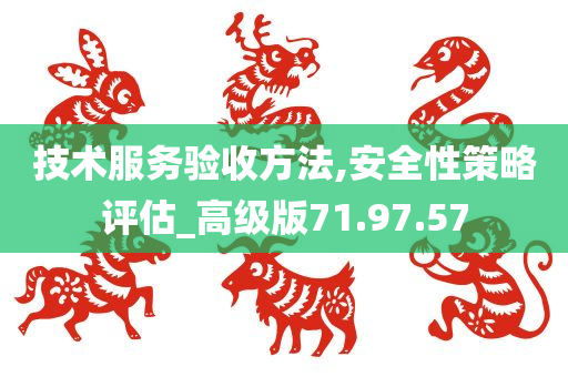 技术服务验收方法,安全性策略评估_高级版71.97.57