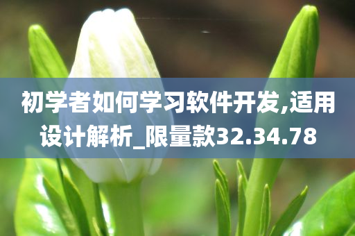 初学者如何学习软件开发,适用设计解析_限量款32.34.78