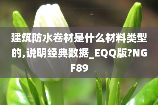 建筑防水卷材是什么材料类型的,说明经典数据_EQQ版?NGF89