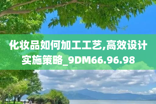 化妆品如何加工工艺,高效设计实施策略_9DM66.96.98