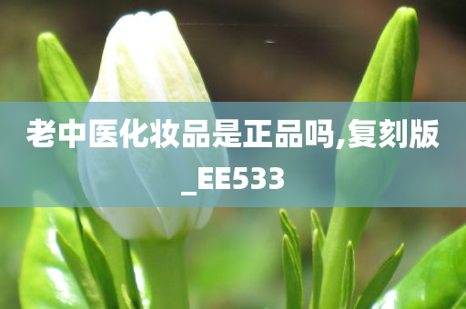 老中医化妆品是正品吗,复刻版_EE533