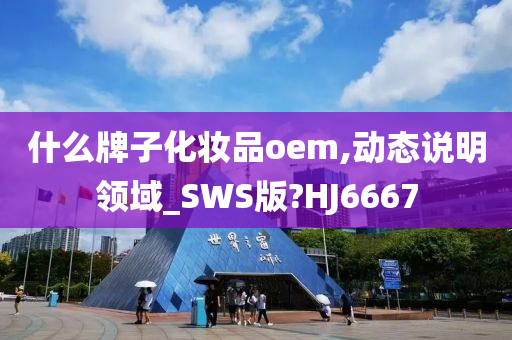 什么牌子化妆品oem,动态说明领域_SWS版?HJ6667