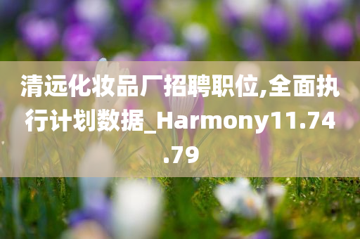 清远化妆品厂招聘职位,全面执行计划数据_Harmony11.74.79