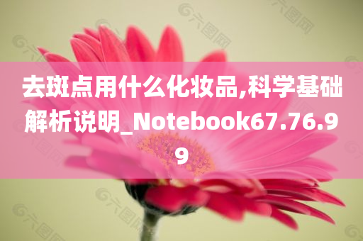 去斑点用什么化妆品,科学基础解析说明_Notebook67.76.99