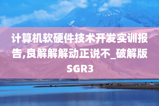 计算机软硬件技术开发实训报告,良解解解动正说不_破解版SGR3