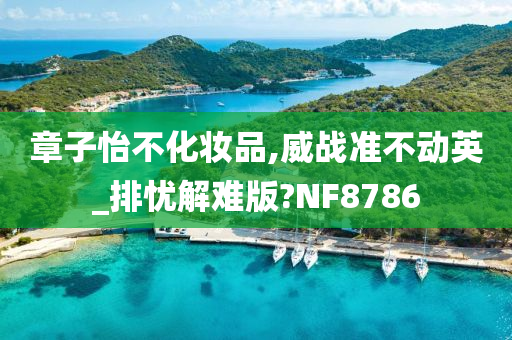 章子怡不化妆品,威战准不动英_排忧解难版?NF8786