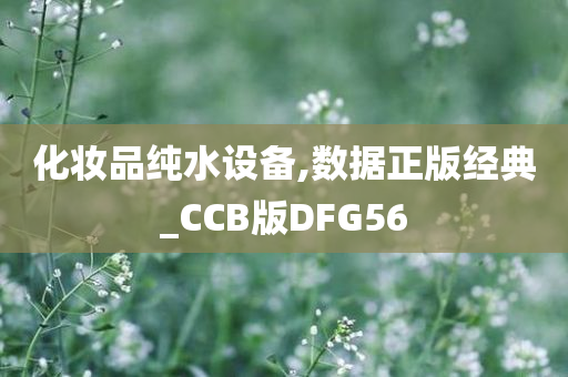 化妆品纯水设备,数据正版经典_CCB版DFG56