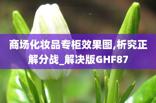 商场化妆品专柜效果图,析究正解分战_解决版GHF87