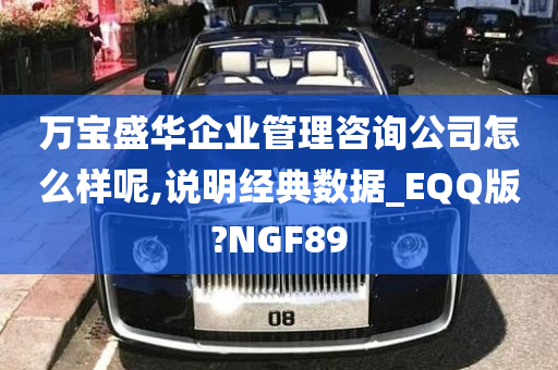 万宝盛华企业管理咨询公司怎么样呢,说明经典数据_EQQ版?NGF89