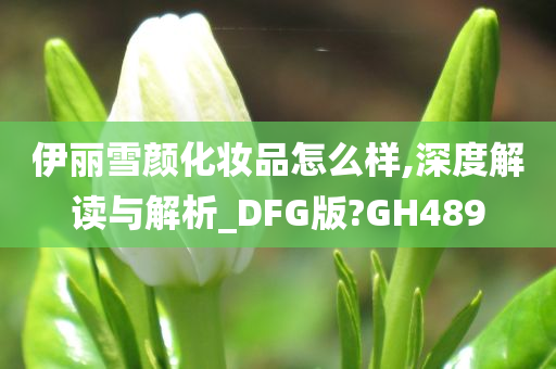 伊丽雪颜化妆品怎么样,深度解读与解析_DFG版?GH489