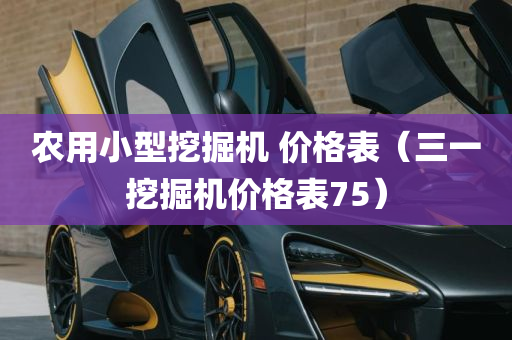 农用小型挖掘机 价格表（三一挖掘机价格表75）